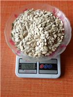 穆棱厂家批发销售优惠葫芦籽 出口级光板葫芦籽价格