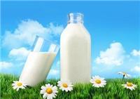 个人可以进口新西兰牛奶到上海吗