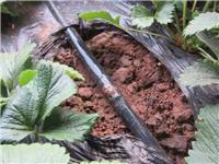 农田灌溉使用滴灌管滴灌带厂家