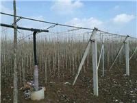 长沙市农田种植灌溉节水设备厂家直销--pe滴灌管pe滴灌带批发