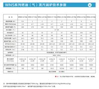 上海 全自动卧式燃油燃气热水锅炉热效率锅炉价格参数厂家