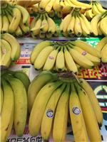优质香蕉精品香蕉批发供应配送_优质蔬菜水果供应商配送_优质水果蔬菜批发配送