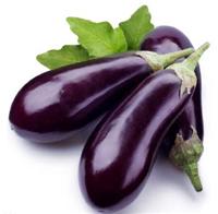 宁安厂家直供蔬菜新鲜**紫黑茄子 农家大棚茄子 绿色放心蔬菜