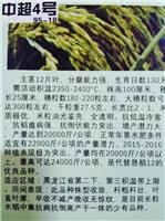 尚志农资供应中**4号水稻种子 抗病强抗倒伏 高产水稻品种种子