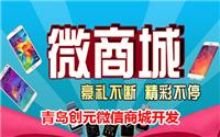 青岛济南分销商城app方案