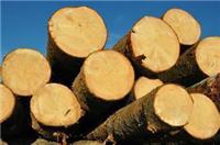 大连木材|板材进口清关|报关流程|手续|关税