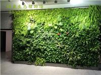 室内植物墙设计可以选择柏霖植物墙