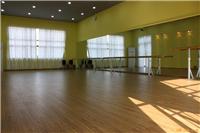 天津舞蹈房**地胶PVC塑胶地板室内幼儿园地胶