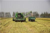 鹤岗大型水稻种植基地 经销商供应东北水稻稻谷 量多优惠