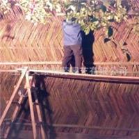 竹篱笆 巨鹿路墙篱笆 上海特色竹篱笆——常青藤供应