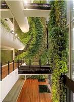 安顺植物壁画生态植物墙施工仿真绿化清镇生态绿化装饰