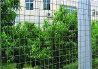 贵州1.5M优质荷兰网批发 墨绿色护栏网 小区围栏