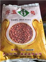 齐玉6号的产量表现与栽培要点_齐齐哈尔富裕县当地玉米种子供应