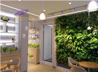 北京办公室植物墙定做 植物墙定做公司 植物墙公司 办公室植物墙