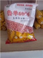 鲁单6006玉米种子的产量特征与栽培要点_黑龙江安达玉米种子批发价格