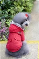 现货泰迪宠物狗棉服秋冬棉袄韩国新款宠物衣服吉娃娃服装外贸原单