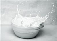 煮生生牛奶的正确方法_黑龙江大庆生牛奶批发供应
