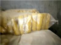 双鸭山特产新鲜玉米批发厂家 冷冻黄糯玉米 速冻甜糯玉米