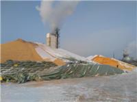 东北特产**黄玉米 玉米粒 种植合作社玉米现货供应商