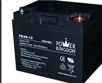 三力蓄电池PK40-12 /豫光蓄电池12v40AH
