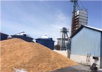 桦甸粮食收购烘干厂家 玉米大量现货供应 价格合理