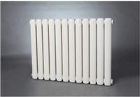 GZ2/x-1.0型钢制二柱散热器钢制柱型散热器