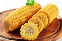 多吃玉米的坏处_黑龙江大庆正宗东北玉米供应