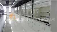 上海枫津实验室设备全钢通风柜工厂直销