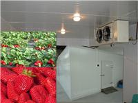 合肥草莓冷库贮藏保鲜方法/草莓保鲜