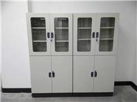 信凯科技厂家直销 实验室柜体 全钢样品柜 器皿柜 气瓶柜