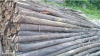 成都板材价格-雨荷木材加工经营部-成都板材生产