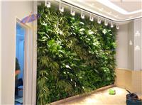 北京家庭植物墙定做 家庭植物墙 北京家庭植物墙定制公司