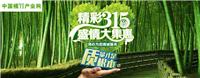 中国楠竹产业网：桃花江竹海——“楠竹之乡”