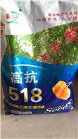 大庆肇州县玉米种子供应销售！_如何选取优质的玉米种子