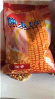 玉米粒怎么拨方便 玉米种子的供应销售_黑龙江大庆玉米种子供应销售