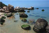 惠州巽寮湾磨子石一日游 去看没看过的风景