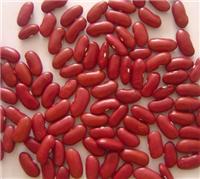 黑龙江黑河市大红豆供应销售_大红豆和小红豆有什么区别