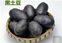黑龙江绥化市东北黑土豆批发销售_什么是黑土豆