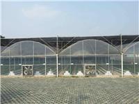 郑州诺博连栋温室大棚建造|蔬菜温室大棚建设|大棚骨架
