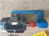 沧州源鸿泵业供应KCB18.3不锈钢齿轮泵，高温齿轮泵，油泵厂家