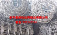 安平县塑料平网 塑料土工网 塑料网厂家直销