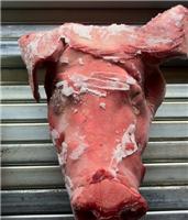 德国265厂 进口猪头 带耳整头 冷冻猪头 毛少 干净新鲜