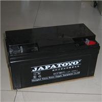 JAPATOYO蓄电池6GFM65医疗系统