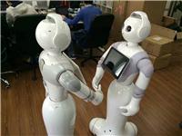 黑豆机器人情感表达和机器人交朋友