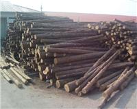 林口厂家批发红松樟子松板材 牡丹江建筑用木方工程方 支持定制