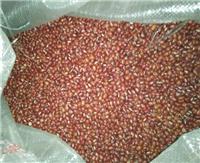 汪清厂家批发红小豆 东北优质红小豆 精选红豆价格