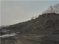 友谊县煤制品供应 锅炉使用的无烟环保煤炭 烘干塔用煤