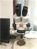 电子金相显微镜设备