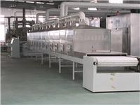 淀粉改性烘干机 淀粉改性烘干设备 流水线式淀粉微波烘干机 专业厂家定做淀粉干燥设备价格