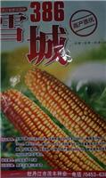 牡丹江雪城玉米种子 高产质优玉米品种 抗病抗旱抗涝